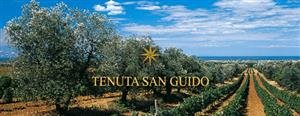 Tenuta San Guido Sassicaia